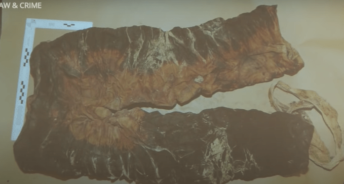 Exhibit 247 (back of Summer Sweats)