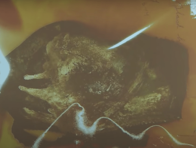 Paint on Summer's Bra